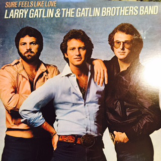 Cover Larry Gatlin & The Gatlin Brothers Band* - Sure Feels Like Love (LP, Album) Schallplatten Ankauf