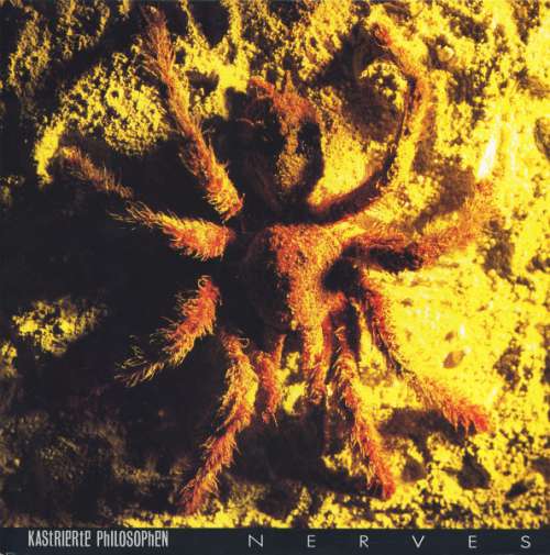 Cover Kastrierte Philosophen - Nerves (LP, Album) Schallplatten Ankauf