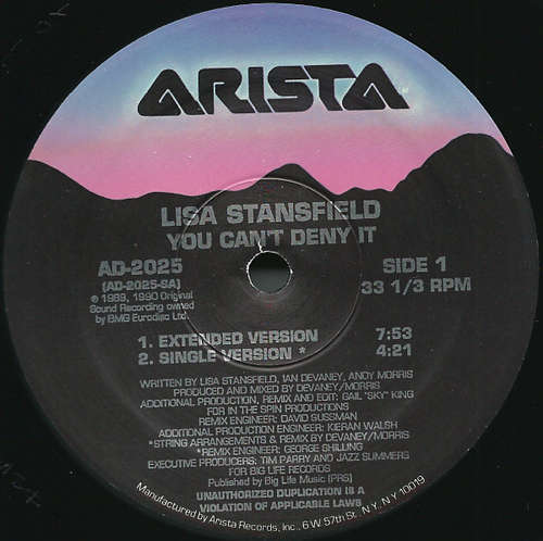 Cover Lisa Stansfield - You Can't Deny It (12) Schallplatten Ankauf