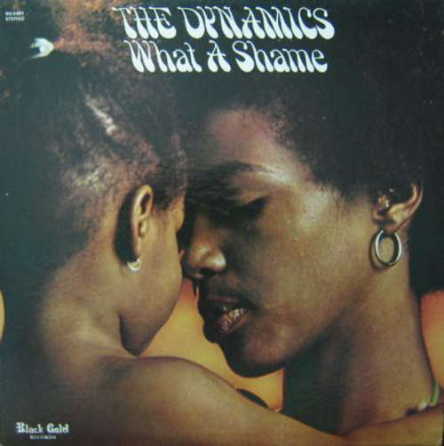 Cover The Dynamics - What A Shame (LP, Album) Schallplatten Ankauf