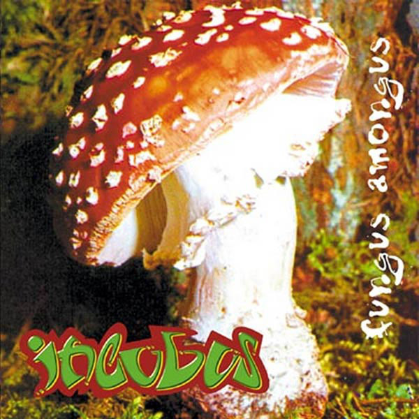 Cover Incubus (2) - Fungus Amongus (CD, Album, RE) Schallplatten Ankauf