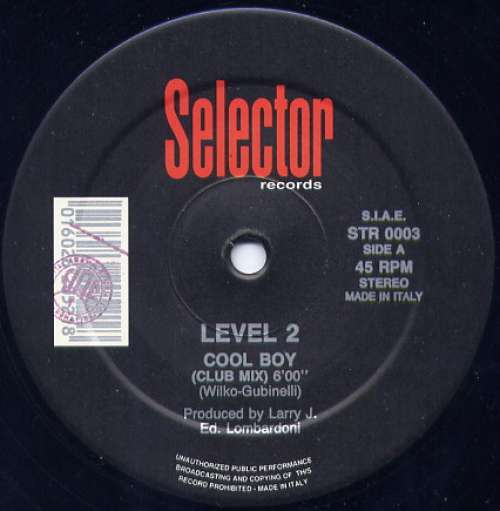 Cover Level 2 - Cool Boy (12) Schallplatten Ankauf