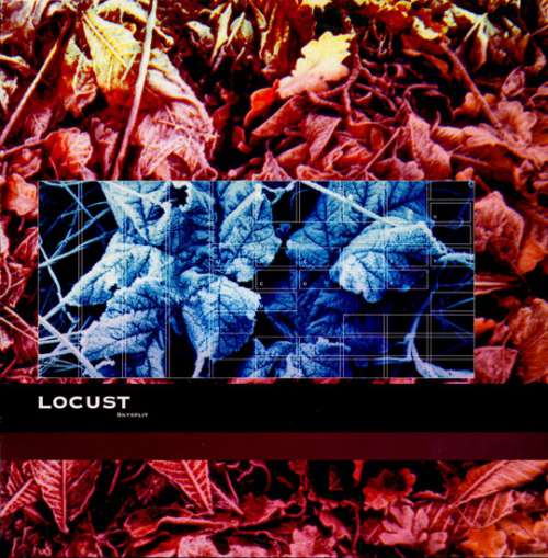 Cover Locust - Skysplit (12) Schallplatten Ankauf