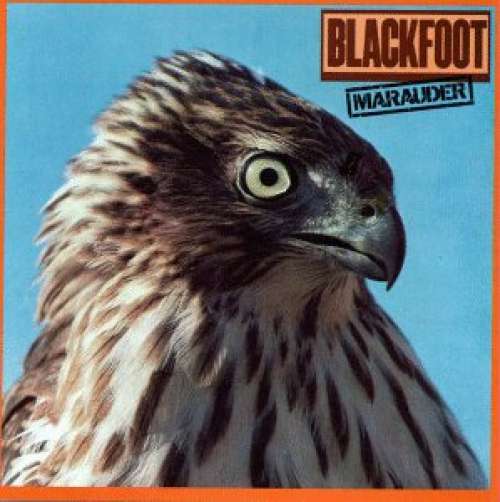Cover Blackfoot (3) - Marauder (LP, Album, RE) Schallplatten Ankauf