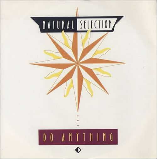 Bild Natural Selection - Do Anything (12) Schallplatten Ankauf