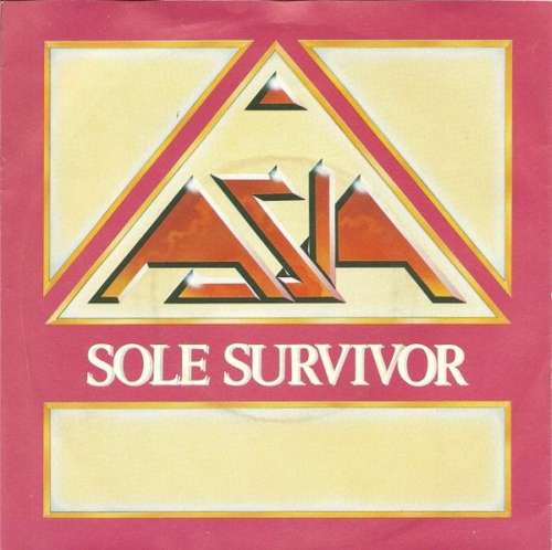 Cover Sole Survivor Schallplatten Ankauf