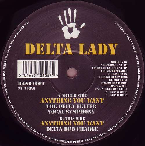 Cover Delta Lady - Anything You Want (12) Schallplatten Ankauf