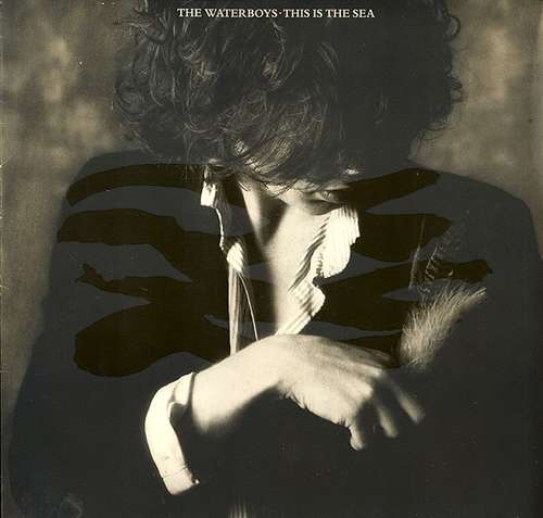 Cover The Waterboys - This Is The Sea (LP, Album) Schallplatten Ankauf