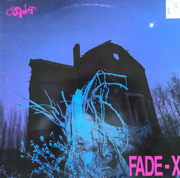 Cover Fade-X - Curiosity (12) Schallplatten Ankauf