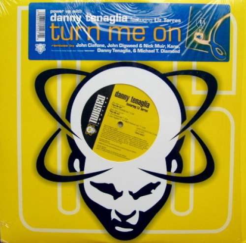 Cover Danny Tenaglia Featuring Liz Torres - Turn Me On (2x12) Schallplatten Ankauf