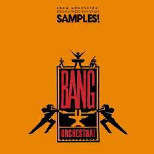 Bild Bang Orchestra! - Sample That! (12) Schallplatten Ankauf