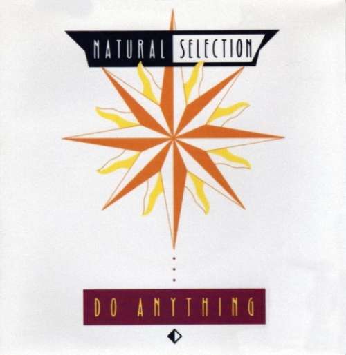 Cover Natural Selection - Do Anything (12) Schallplatten Ankauf