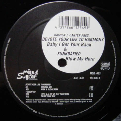 Cover Damien J. Carter - Devote Your Life To Harmony (12) Schallplatten Ankauf