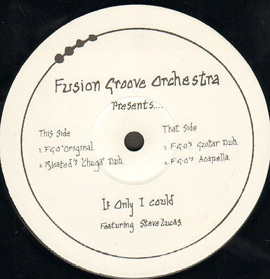 Cover Fusion Groove Orchestra Featuring Steve Lucas - If Only I Could (12, TP) Schallplatten Ankauf