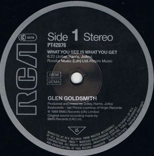 Cover Glen Goldsmith - What You See Is What You Get (12, Maxi) Schallplatten Ankauf