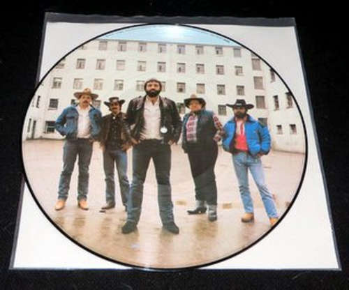 Bild Flophouse String Band - In The Jailhouse, Now (LP, Album, Pic) Schallplatten Ankauf