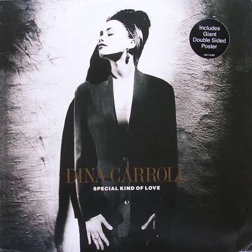 Cover Dina Carroll - Special Kind Of Love (12, Single) Schallplatten Ankauf