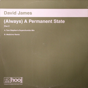 Cover David James - (Always) A Permanent State (12, 2/2) Schallplatten Ankauf