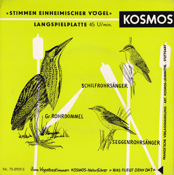 Cover Dr. G. Thielcke* - Stimmen Einheimischer Vögel (7) Schallplatten Ankauf