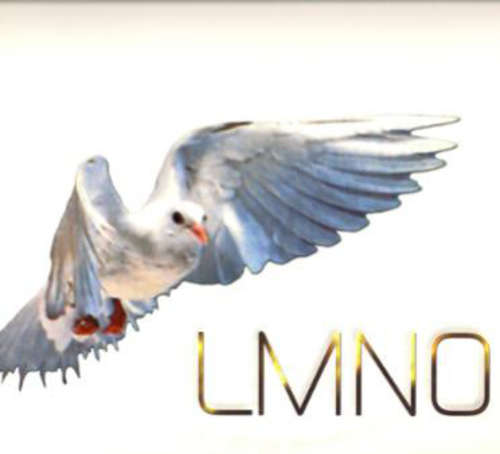 Cover LMNO (2) - Invigorating / Souldier / With Meaning (12) Schallplatten Ankauf