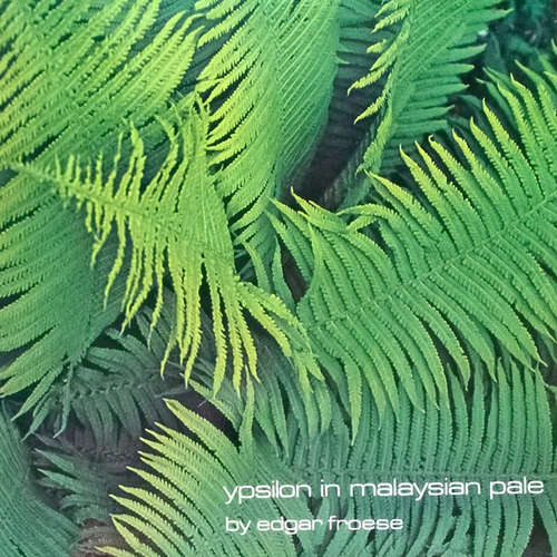 Cover Edgar Froese - Ypsilon In Malaysian Pale (LP, Album, RP) Schallplatten Ankauf