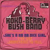 Cover Koko-Berry Bush Band - She's A Na Na Nice Girl / I've Got Something To Tell (7, Single) Schallplatten Ankauf