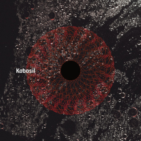 Cover Kobosil - 91 (12) Schallplatten Ankauf