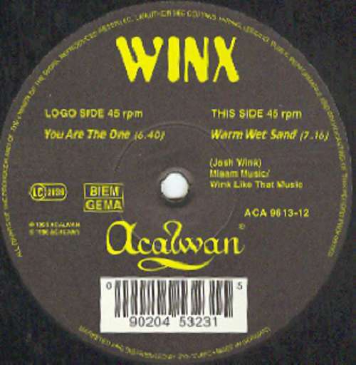 Cover Winx* - You Are The One (12) Schallplatten Ankauf