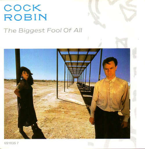 Bild Cock Robin - The Biggest Fool Of All (7, Single) Schallplatten Ankauf