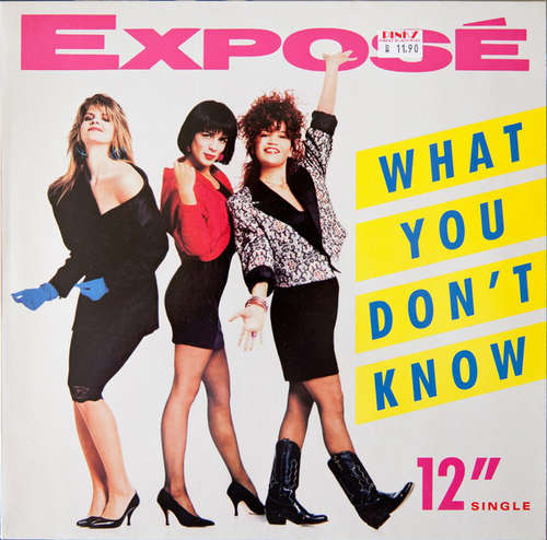 Cover Exposé - What You Don't Know (12) Schallplatten Ankauf