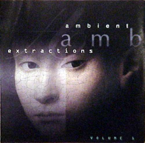 Cover Various - Ambient Extractions (Volume 1) (CD, Album) Schallplatten Ankauf