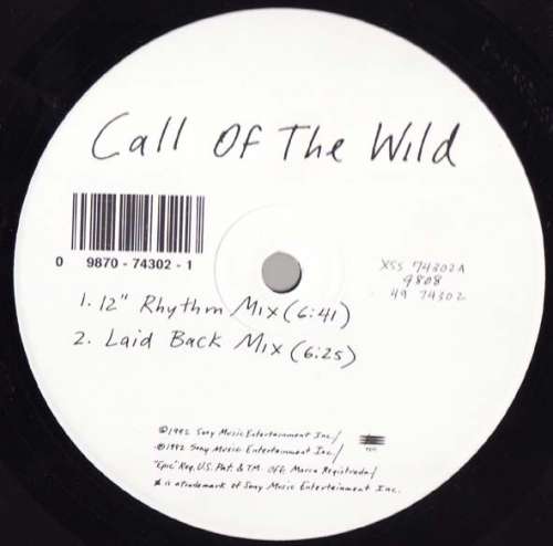 Cover Call Of The Wild (Wild Remixes) Schallplatten Ankauf