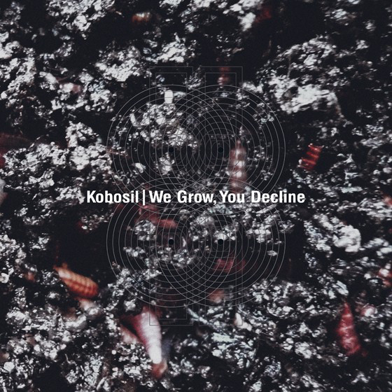 Cover Kobosil - We Grow, You Decline (2x12, Album) Schallplatten Ankauf