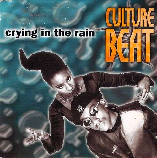 Cover Crying In The Rain Schallplatten Ankauf