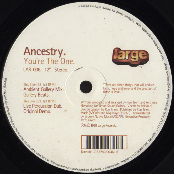 Cover Ancestry - You're The One (12) Schallplatten Ankauf