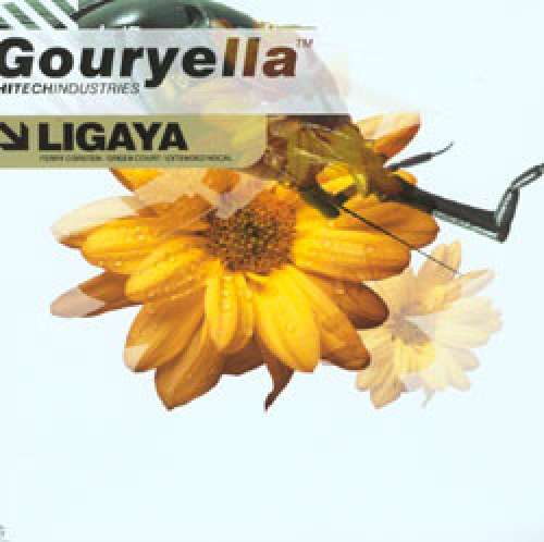 Cover Gouryella - Ligaya (Part 2 Of A 2 Vinyl Set) (12) Schallplatten Ankauf
