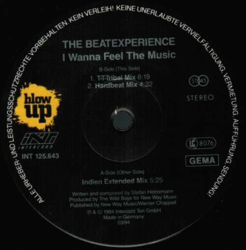 Bild The Beatexperience* - I Wanna Feel The Music (12) Schallplatten Ankauf