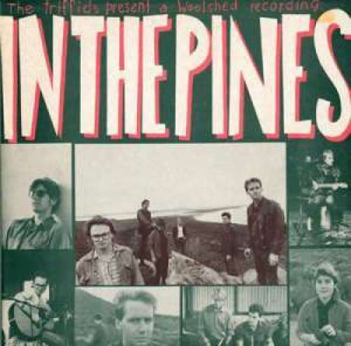Cover The Triffids - In The Pines (LP, Album) Schallplatten Ankauf