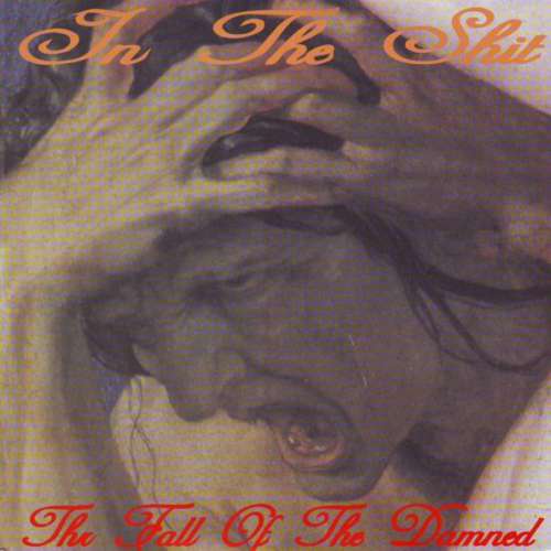 Cover In The Shit - The Fall Of The Damned (7, EP) Schallplatten Ankauf