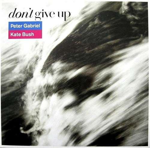 Cover Don't Give Up Schallplatten Ankauf