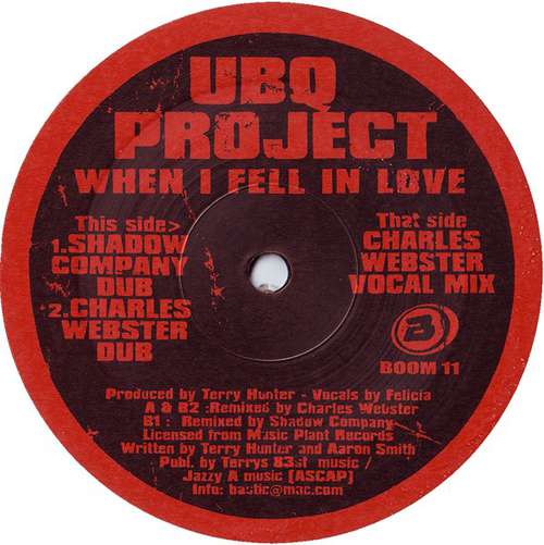 Cover UBQ Project - When I Fell In Love (2002 Rmx) (12) Schallplatten Ankauf