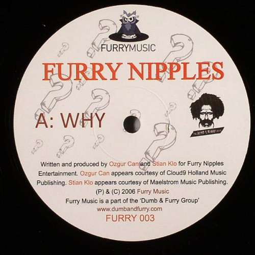 Bild Furry Nipples - Why (12) Schallplatten Ankauf