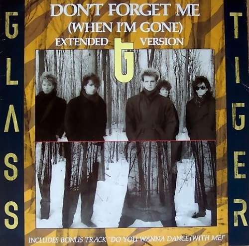 Cover Glass Tiger - Don't Forget Me (When I'm Gone) (12, Maxi) Schallplatten Ankauf