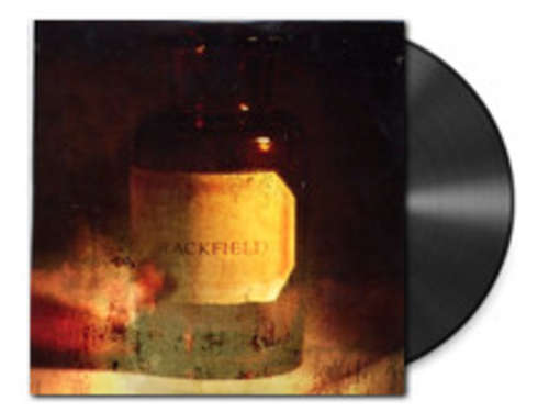 Cover Blackfield - Blackfield (LP, Album + 12) Schallplatten Ankauf
