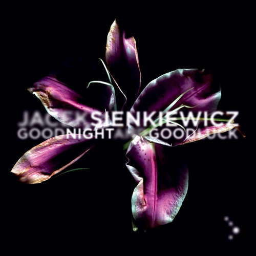 Cover Jacek Sienkiewicz - Good Night And Good Luck (12) Schallplatten Ankauf