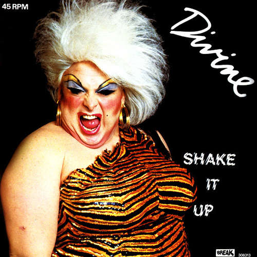 Cover Divine - Shake It Up (12) Schallplatten Ankauf