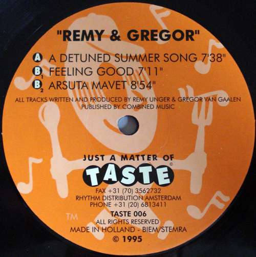 Cover Remy & Gregor - A Detuned Summer Song (12) Schallplatten Ankauf