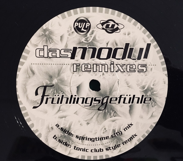 Cover Das Modul - Frühlingsgefühle (Remixes) (12) Schallplatten Ankauf