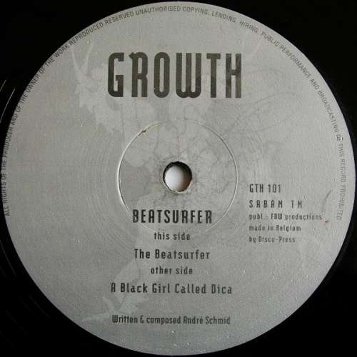 Cover Beatsurfer - The Beatsurfer (12) Schallplatten Ankauf