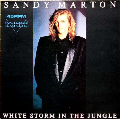 Cover Sandy Marton - White Storm In The Jungle (12, Single) Schallplatten Ankauf